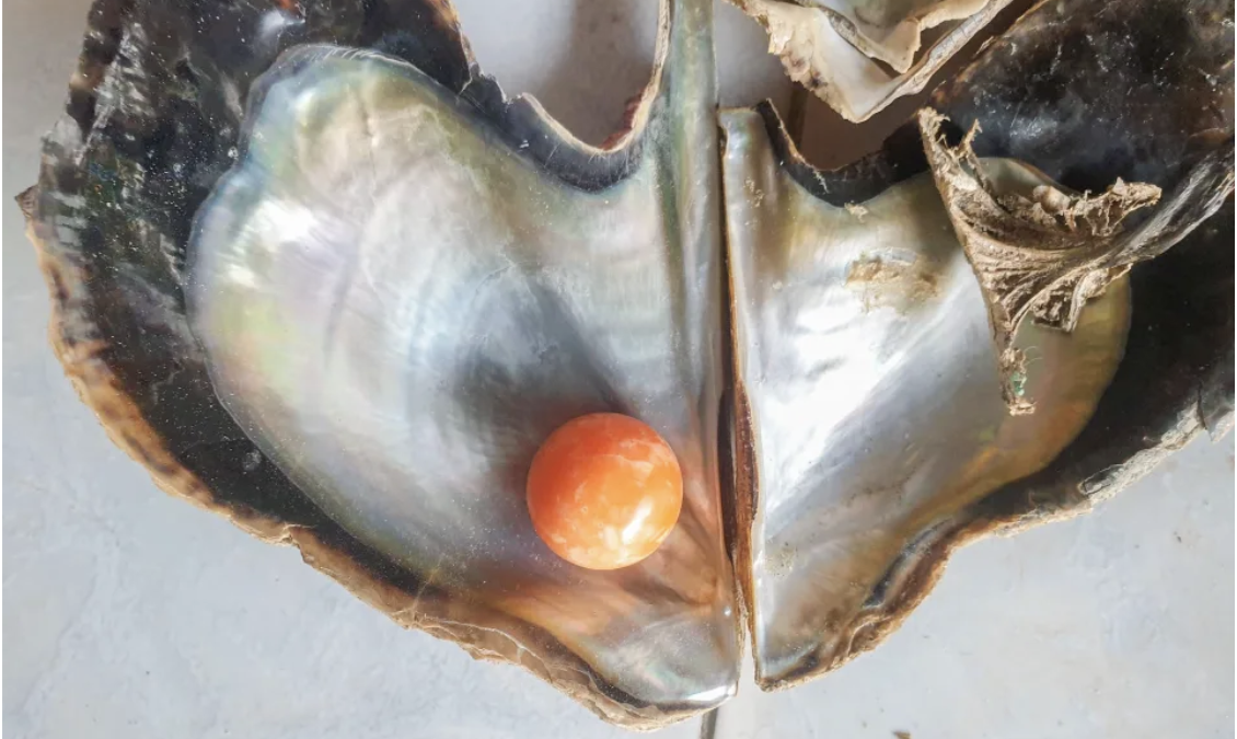 A fisherman found this $400,000 pearl in a shell https://au.news.yahoo.com/struggling-fishermans-unbelievable-find-in-ordinary-shell-071356802.html?guccounter=1&guce_referrer=aHR0cHM6Ly93d3cuZ29vZ2xlLmNvbS8&guce_referrer_sig=AQAAAHg4h_fL-jjXcAKOJOlJeD6mUd5-vncxrSkfms92nVGHIjHbSHrsXvNgmXCcfPYO19NTzpjKqW_DzFYzAlgDZ7ImHQK_LVjTcAoGpX7IULwjj0syDRR-dh3BgDJlQ_yQBUMz0eo8uP_jsG3YJ6elFVmyWBZ1U0Jn2rQH_hO6b284