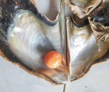 A fisherman found this $400,000 pearl in a shell https://au.news.yahoo.com/struggling-fishermans-unbelievable-find-in-ordinary-shell-071356802.html?guccounter=1&guce_referrer=aHR0cHM6Ly93d3cuZ29vZ2xlLmNvbS8&guce_referrer_sig=AQAAAHg4h_fL-jjXcAKOJOlJeD6mUd5-vncxrSkfms92nVGHIjHbSHrsXvNgmXCcfPYO19NTzpjKqW_DzFYzAlgDZ7ImHQK_LVjTcAoGpX7IULwjj0syDRR-dh3BgDJlQ_yQBUMz0eo8uP_jsG3YJ6elFVmyWBZ1U0Jn2rQH_hO6b284