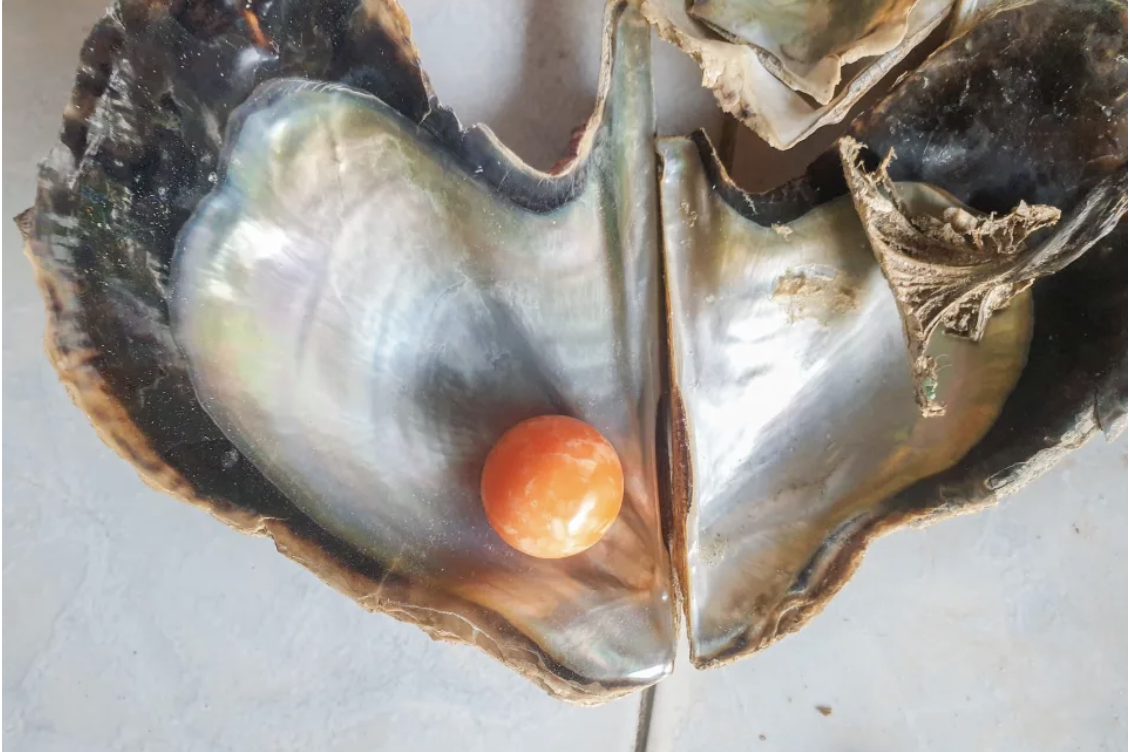 A fisherman found this $400,000 pearl in a shell https://au.news.yahoo.com/struggling-fishermans-unbelievable-find-in-ordinary-shell-071356802.html?guccounter=1&guce_referrer=aHR0cHM6Ly93d3cuZ29vZ2xlLmNvbS8&guce_referrer_sig=AQAAAHg4h_fL-jjXcAKOJOlJeD6mUd5-vncxrSkfms92nVGHIjHbSHrsXvNgmXCcfPYO19NTzpjKqW_DzFYzAlgDZ7ImHQK_LVjTcAoGpX7IULwjj0syDRR-dh3BgDJlQ_yQBUMz0eo8uP_jsG3YJ6elFVmyWBZ1U0Jn2rQH_hO6b284
