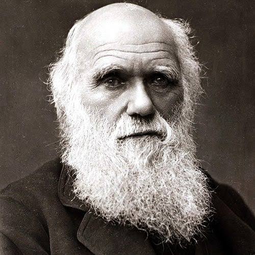 Al-Jahiz – Real Father of Evolutionary Biology