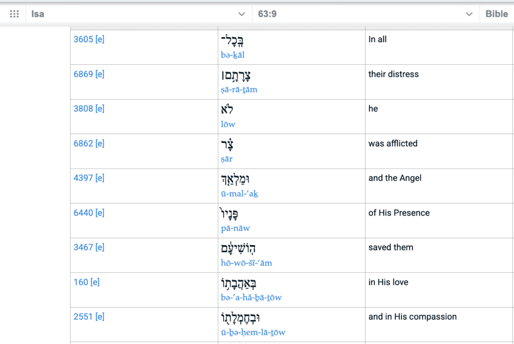The Holy Spirit and Gabriel: Functional Overlap in Biblical and Qurʾānic Language